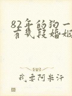 82年的狗一生有几段婚姻封面