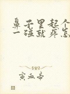 鼻子里起个疙瘩一碰就疼怎么回事