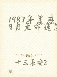 1987年农历9月兔命运怎么样