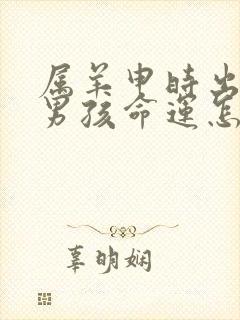 属羊申时出生的男孩命运怎么样