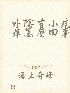 外阴有小疙瘩痒痒怎么回事