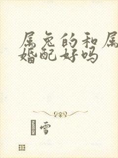 属兔的和属龙的婚配好吗封面
