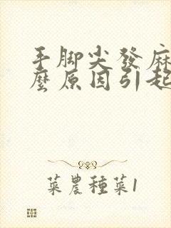 手脚尖发麻是什么原因引起的,怎么解决