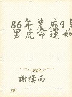 86年农历9月男虎命运如何