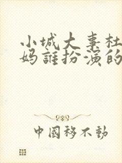 小城大事杜涛妈妈谁扮演的封面