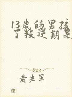 13岁的男孩到了叛逆期是怎么教