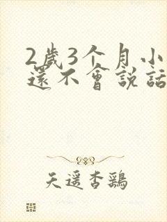 2岁3个月小孩还不会说话