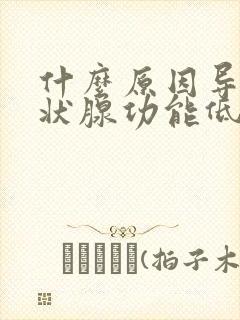 什么原因导致甲状腺功能低下封面