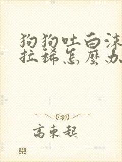 狗狗吐白沫黏液拉稀怎么办