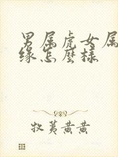 男属虎女属猪姻缘怎么样