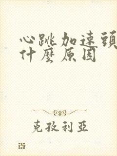 心跳加速头晕是什么原因封面