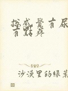 总感觉有尿意还有点疼