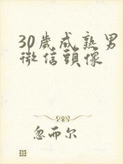 30岁成熟男人微信头像