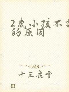 2岁小孩不说话的原因