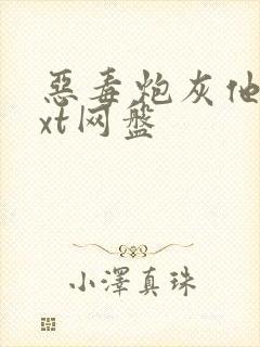 恶毒炮灰他弟txt网盘封面