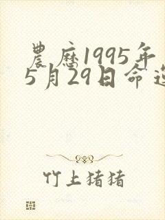 农历1995年5月29日命运封面