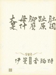 大母脚趾肚麻木是什么原因