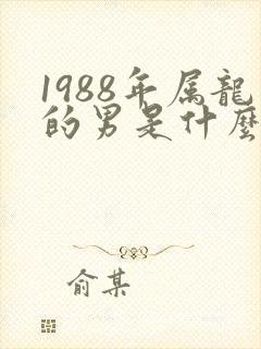 1988年属龙的男是什么命运势封面