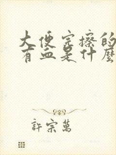 大便完擦的时候有血是什么情况