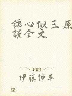 锦心似玉原著小说全文封面