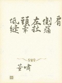 低头左侧肩胛骨缝牵拉痛