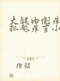 大腿内侧痒痒越抓越痒有小红疙瘩什么原因封面