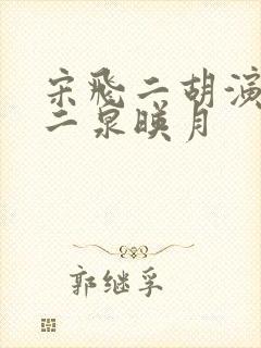 宋飞二胡演奏的二泉映月