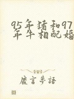 95年猪和97年牛相配婚姻如何