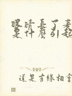 眼睛长了麦粒肿是什么引起的