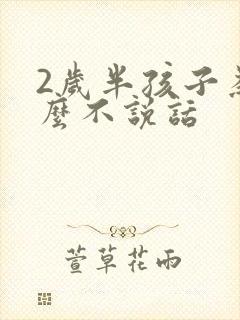 2岁半孩子为什么不说话