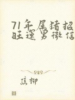 71年属猪招财旺运男微信昵称