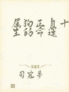 属狗正月十三出生的命运封面