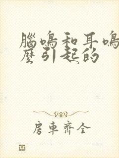 脑鸣和耳鸣是怎么引起的