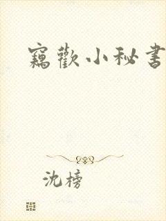 窃欢小秘书封面