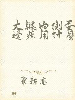 大腿内侧蛋蛋旁边痒用什么药膏