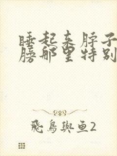 睡起来脖子和肩膀那里特别疼