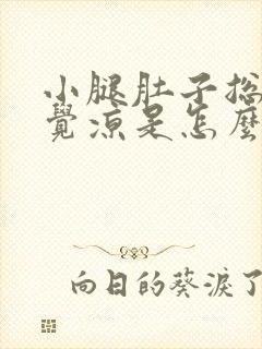 小腿肚子总是感觉凉是怎么回事