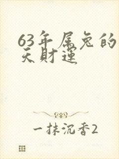 63年属兔的今天财运