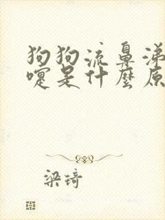 狗狗流鼻涕打喷嚏是什么原因