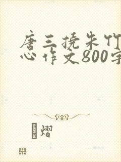 唐三挠朱竹清脚心作文800字范文