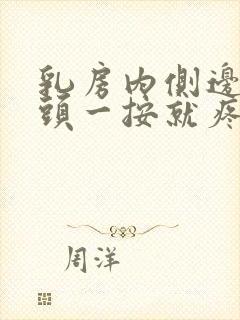 乳房内侧边缘骨头一按就疼