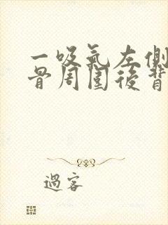 一吸气左侧肩胛骨周围后背里面疼