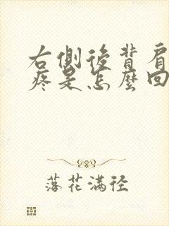 右侧后背肩胛骨疼是怎么回事女性