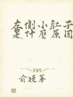 左侧小肚子疼痛是什么原因女性