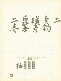 二泉映月二胡独奏华彦钧