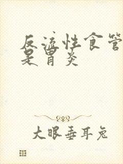 反流性食管炎或是胃炎