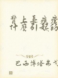 背上长痤疮是由什么引起的