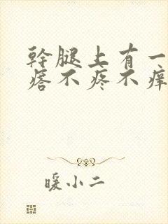 干腿上有一硬疙瘩不疼不痒封面