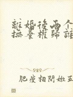 离婚后两个小孩抚养权归谁