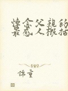 悼念父亲的悼词最感人概括一生